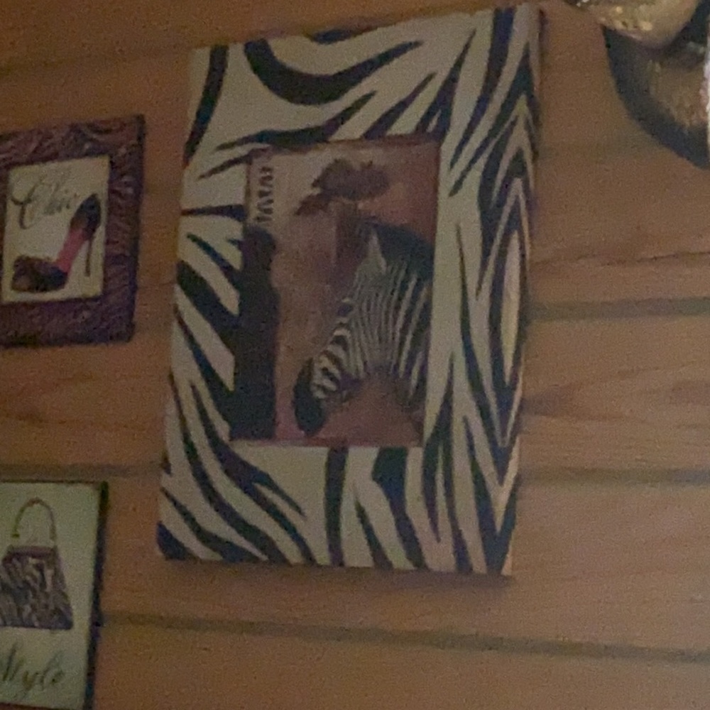 Safari - Picture 6 of 6